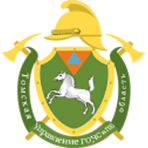 Логотип Томская область управление